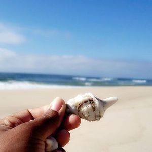 Meet your Posher, Marian